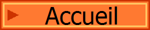 Accueil 